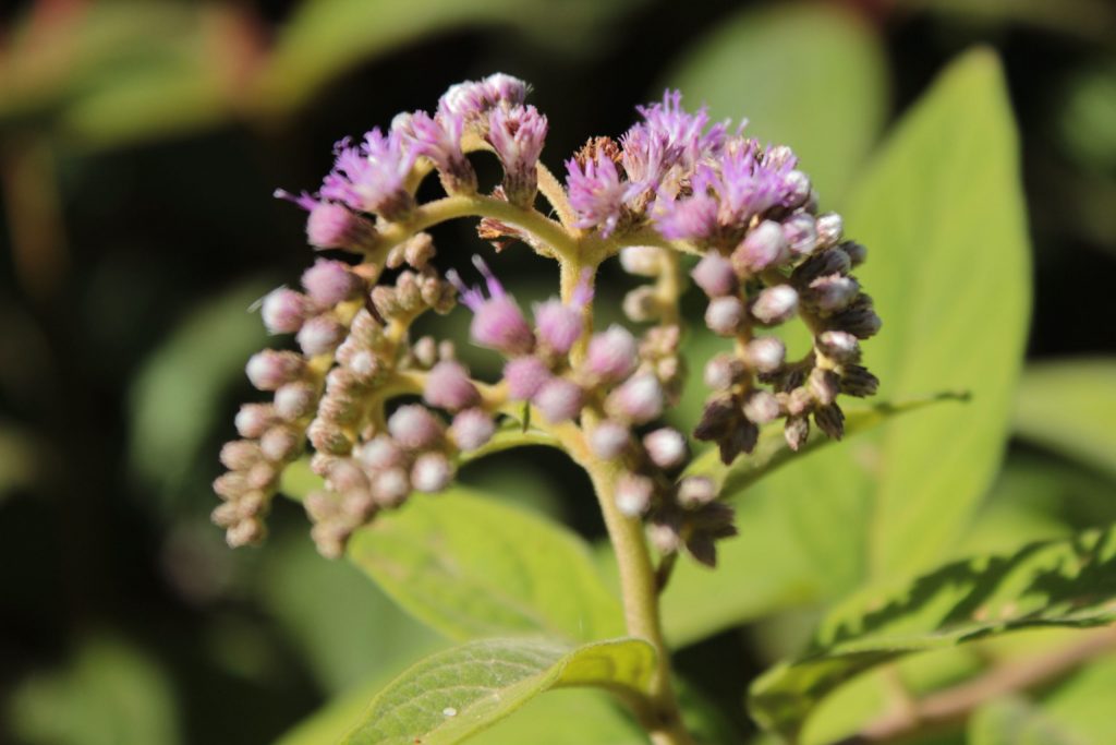 Continue sonhando com a Chapada Diamantina